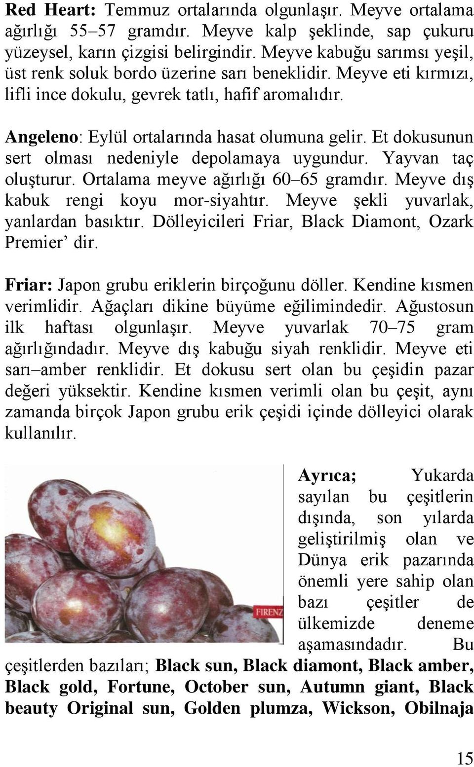 Et dokusunun sert olması nedeniyle depolamaya uygundur. Yayvan taç oluşturur. Ortalama meyve ağırlığı 60 65 gramdır. Meyve dış kabuk rengi koyu mor-siyahtır. Meyve şekli yuvarlak, yanlardan basıktır.