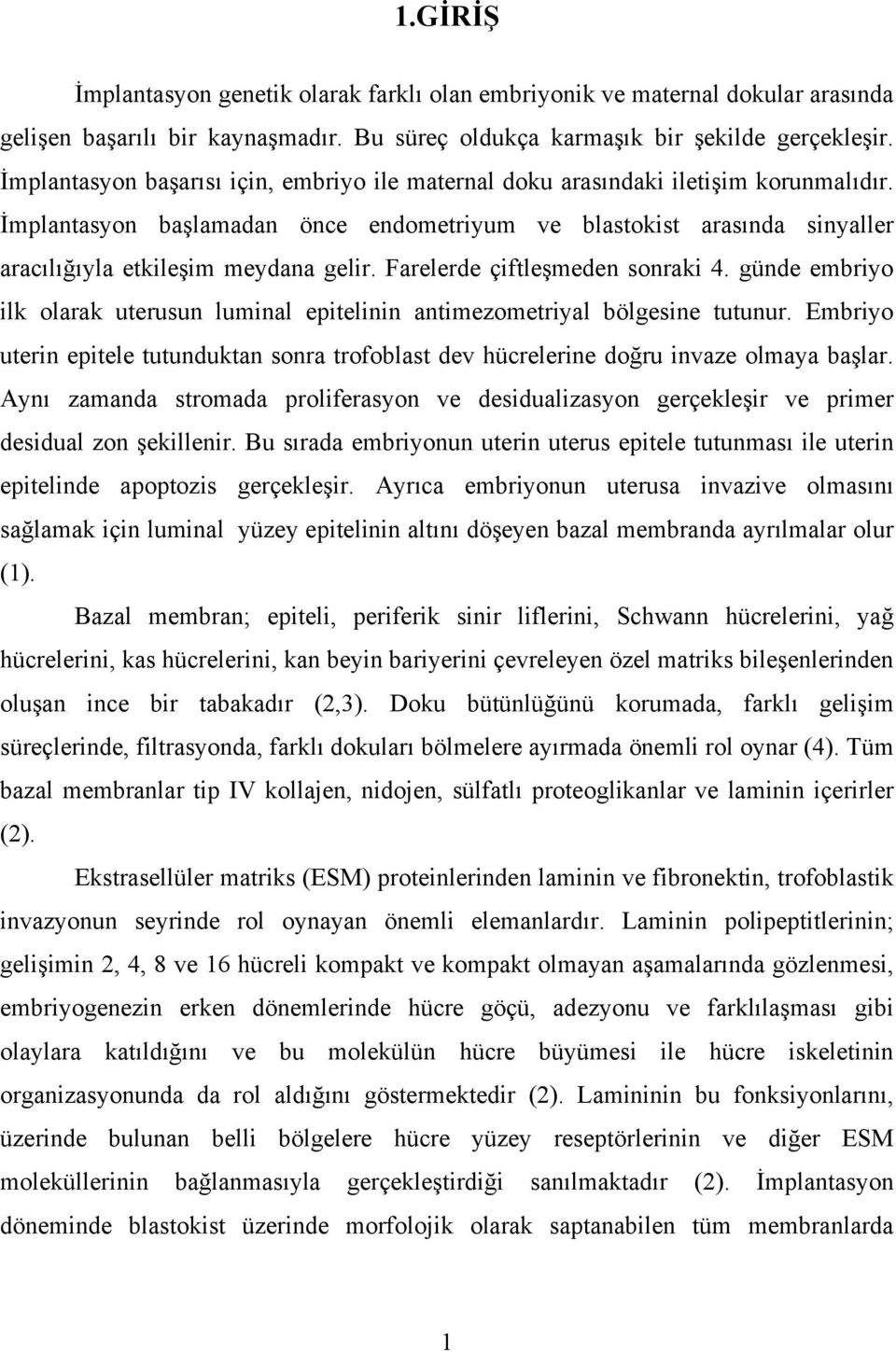 Farelerde çiftleşmeden sonraki 4. günde embriyo ilk olarak uterusun luminal epitelinin antimezometriyal bölgesine tutunur.