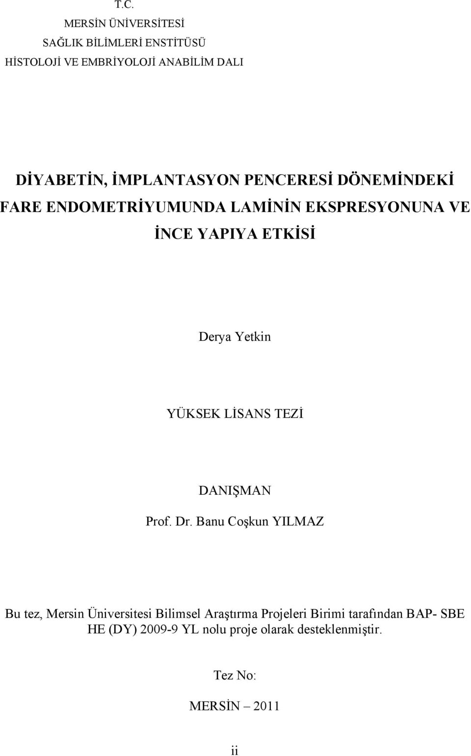 Yetkin YÜKSEK LİSANS TEZİ DANIŞMAN Prof. Dr.