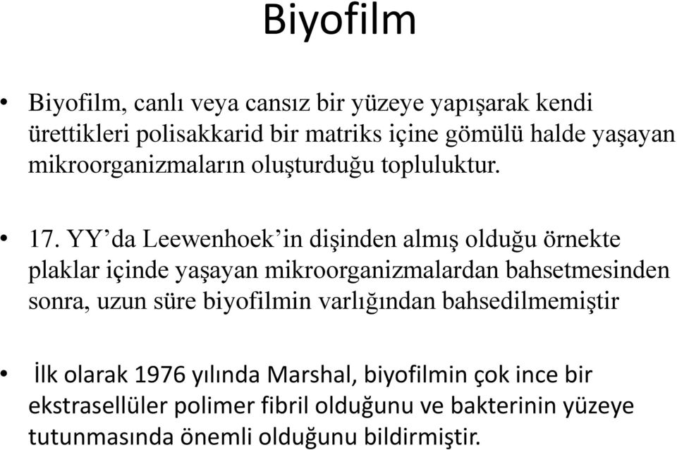 YY da Leewenhoek in dişinden almış olduğu örnekte plaklar içinde yaşayan mikroorganizmalardan bahsetmesinden sonra, uzun süre