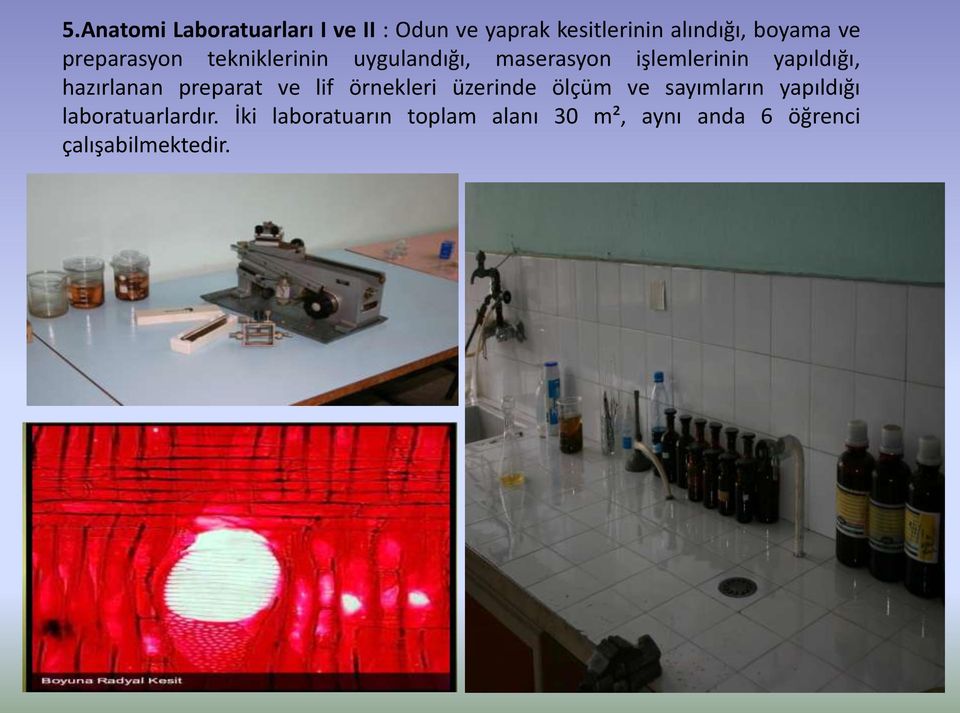 hazırlanan preparat ve lif örnekleri üzerinde ölçüm ve sayımların yapıldığı