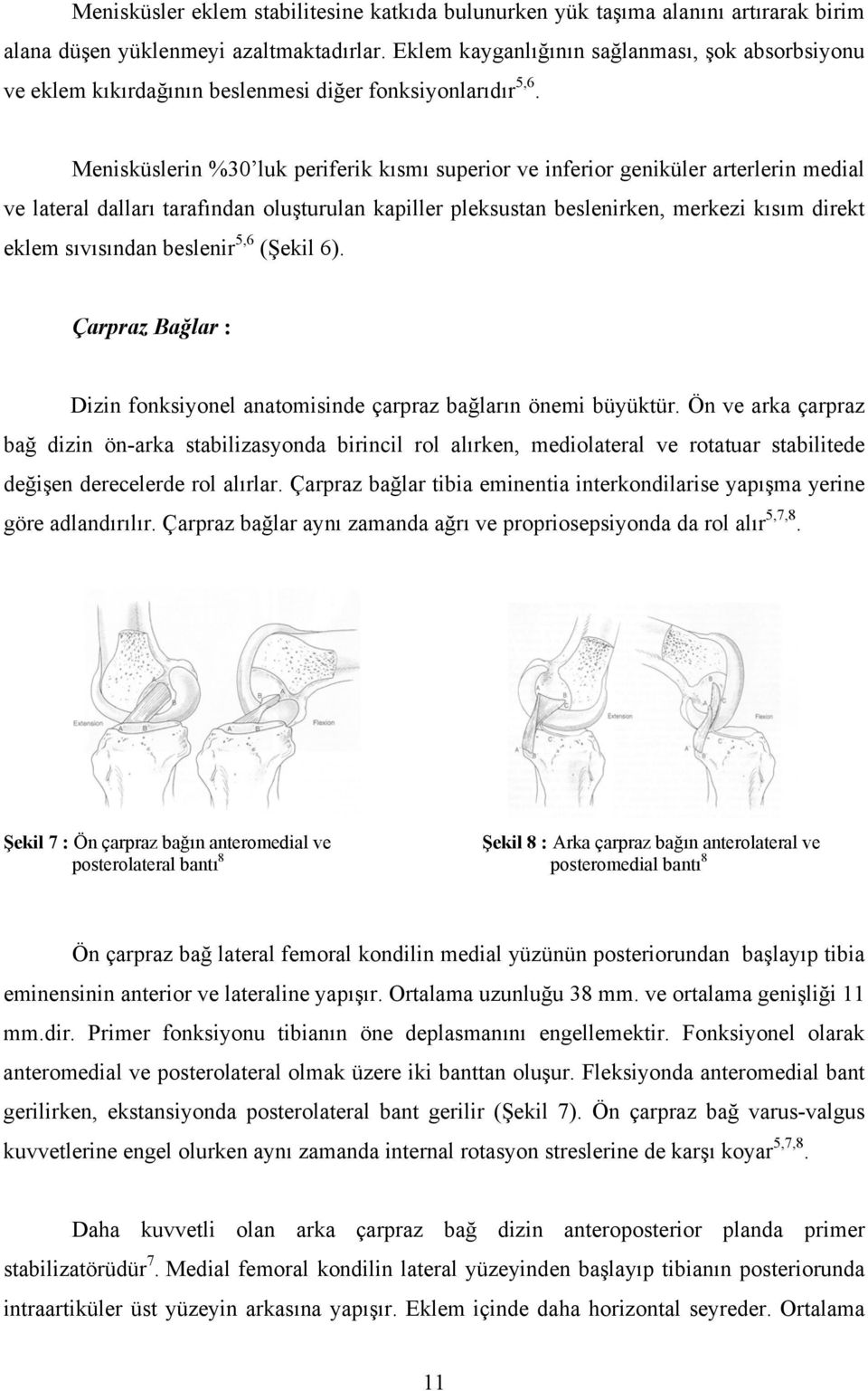 Menisküslerin %30 luk periferik kısmı superior ve inferior geniküler arterlerin medial ve lateral dalları tarafından oluşturulan kapiller pleksustan beslenirken, merkezi kısım direkt eklem sıvısından