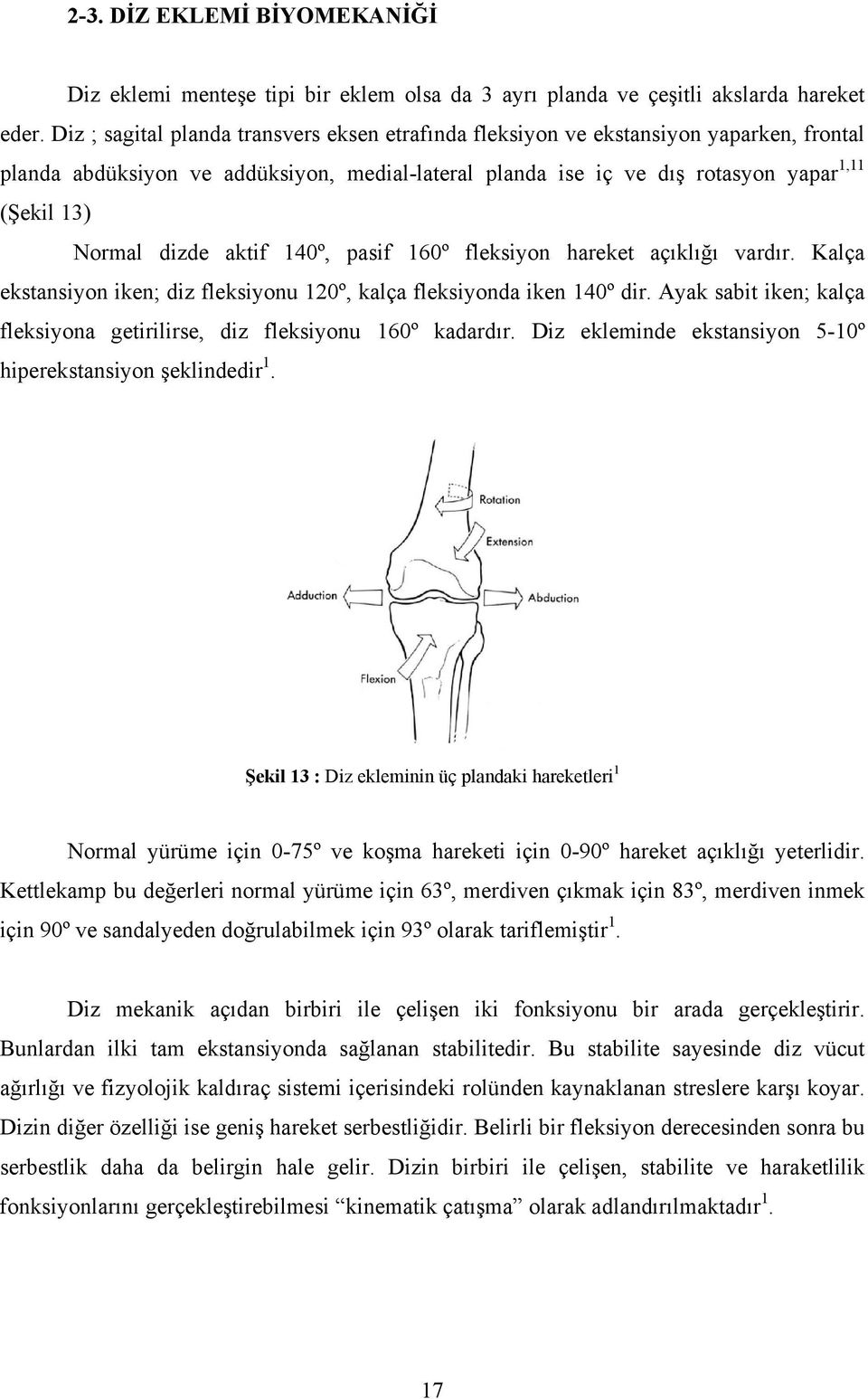 dizde aktif 140º, pasif 160º fleksiyon hareket açıklığı vardır. Kalça ekstansiyon iken; diz fleksiyonu 120º, kalça fleksiyonda iken 140º dir.