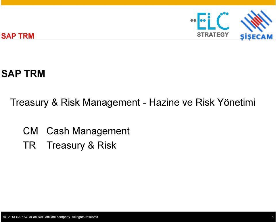 Management TR Treasury & Risk 2013 SAP AG