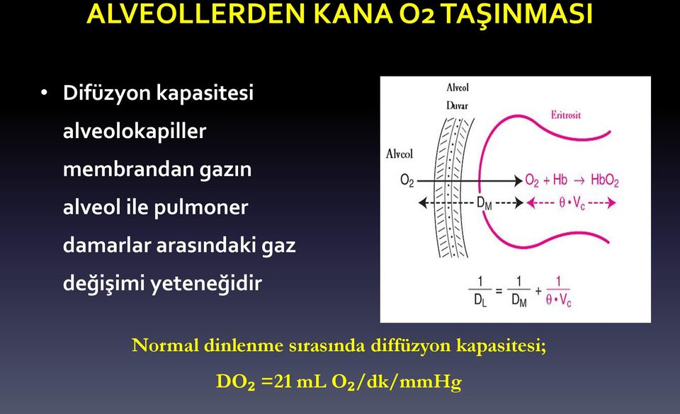 damarlar arasındaki gaz değişimi yeteneğidir Normal