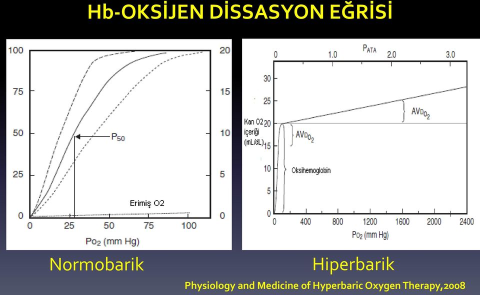 Hiperbarik Physiology and