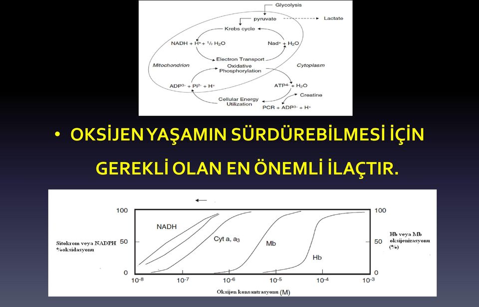 İÇİN GEREKLİ