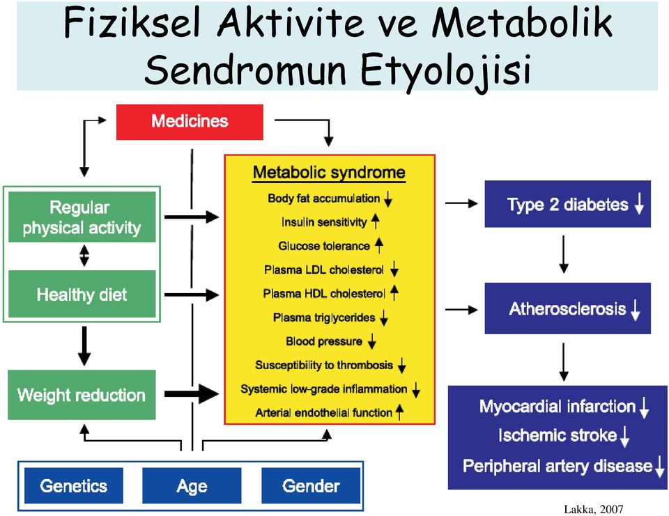Metabolik