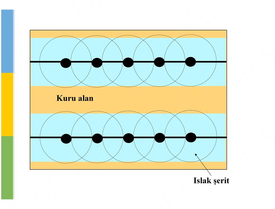 şerit