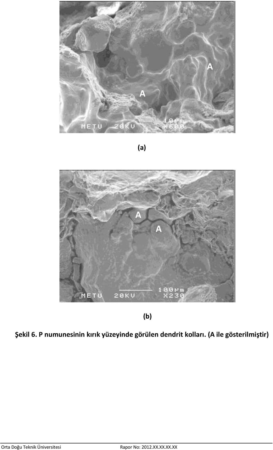 yüzeyinde görülen dendrit