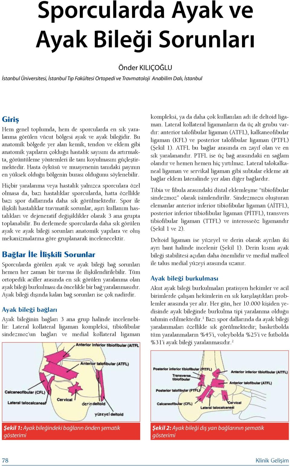 Bu anatomik bölgede yer alan kemik, tendon ve eklem gibi anatomik yapıların çokluğu hastalık sayısını da artırmakta, görüntüleme yöntemleri ile tanı koyulmasını güçleştirmektedir.