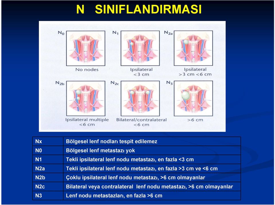 metastazı, en fazla >3 cm ve <6 cm Çoklu ipsilateral lenf nodu metastazı, >6 cm olmayanlar