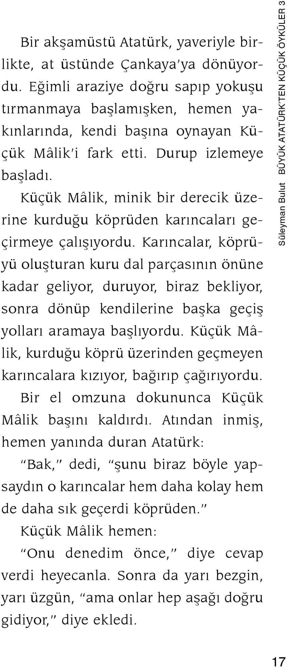 Karıncalar, köprüyü oluşturan kuru dal parçasının önüne kadar geliyor, duruyor, biraz bekliyor, sonra dönüp kendilerine başka geçiş yolları aramaya başlıyordu.