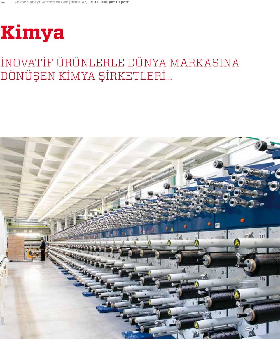 2011 Faaliyet Raporu Kimya