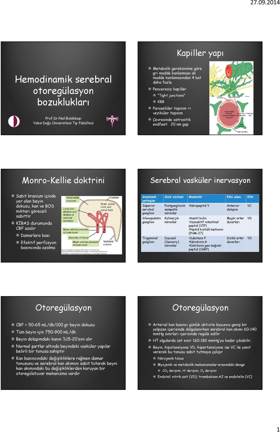 Penceresiz kapiller Tight junctions KBB Paraselüler taşınım >> veziküler taşınım Çevresinde astrositik endfeet: nm gap Monro-Kellie doktrini Serebral vasküler inervasyon Sabit kranium içinde yer alan