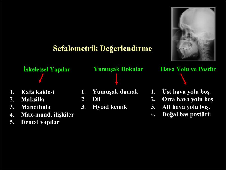 ilişkiler 5. Dental yapılar 1. Yumuşak damak 2. Dil 3. Hyoid kemik 1.