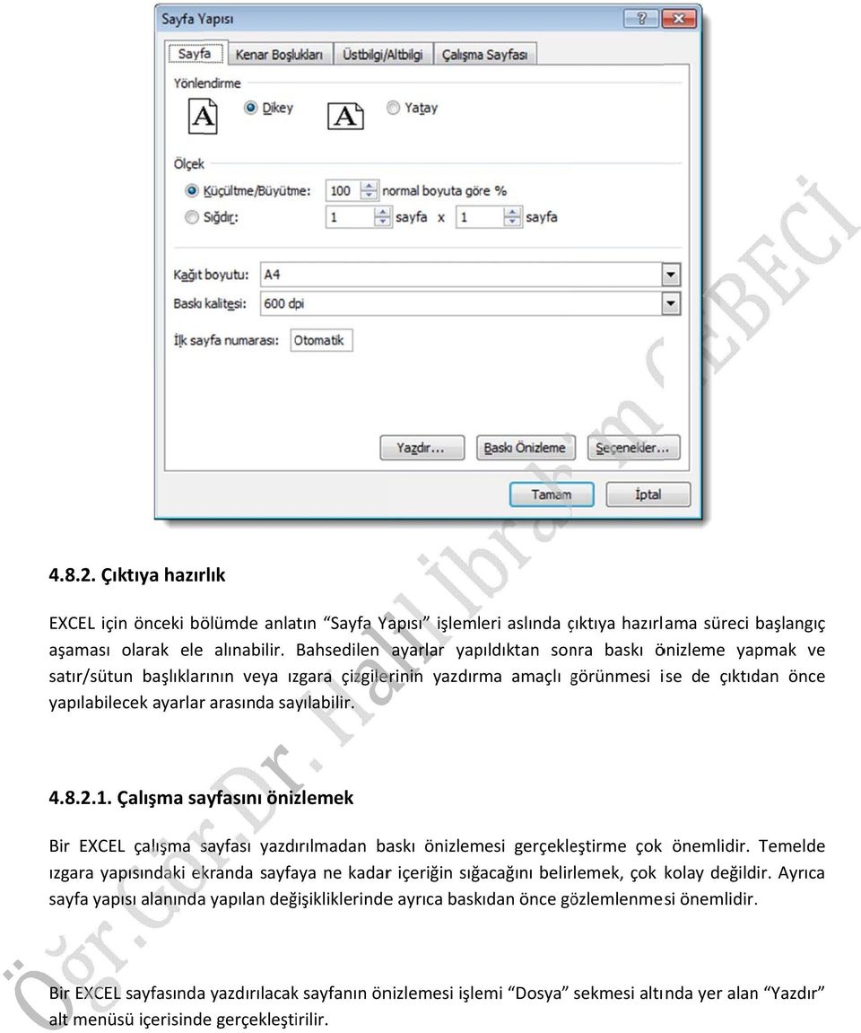 sayılabilir. 4.8.2.1. Çalışma sayfasını önizlemek Bir EXCEL çalışma sayfası yazdırılmadan baskı önizlemesi gerçekleştirme çok önemlidir.