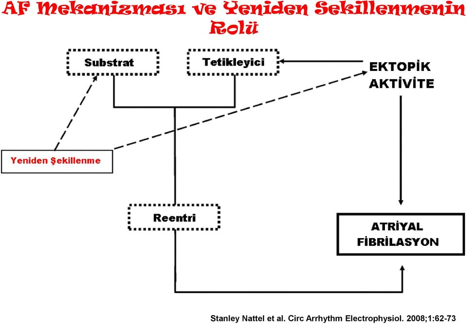 Nattel et al.