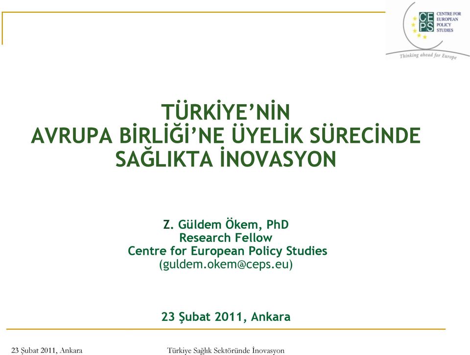 Güldem Ökem, PhD Research Fellow Centre for