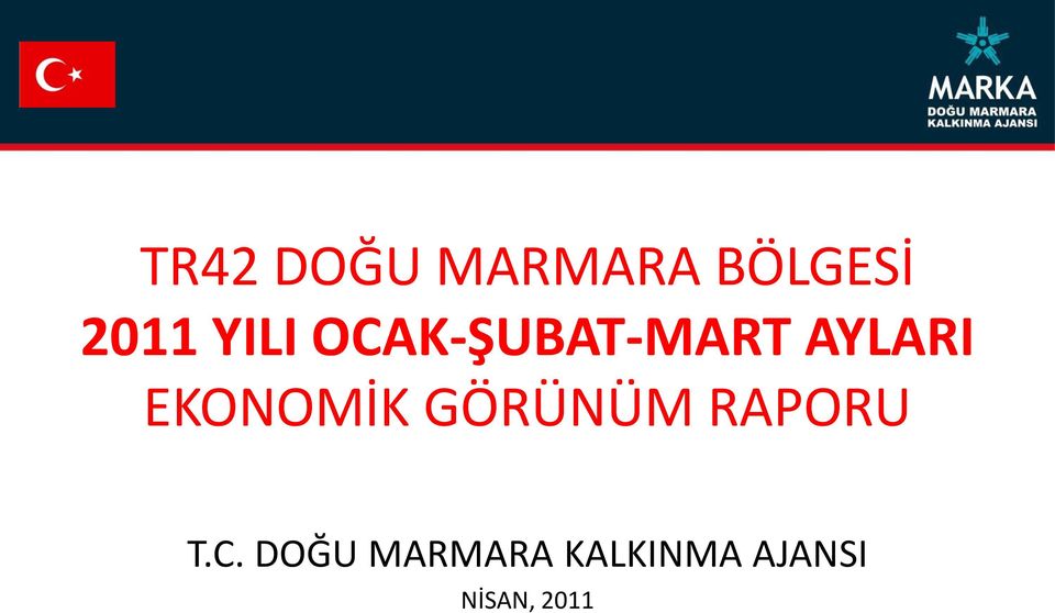 EKONOMİK GÖRÜNÜM RAPORU T.C.