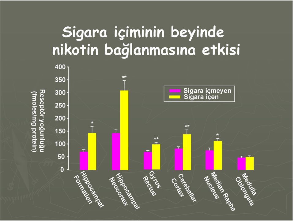 Formation Gyrus Rectus Hippocampal Neocortex Medulla Oblongata Median