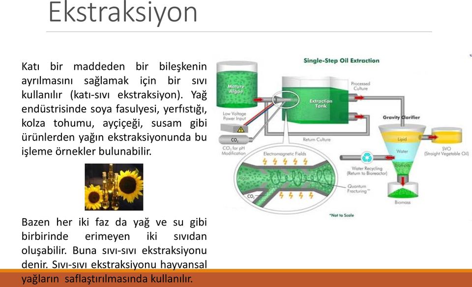 Yağ endüstrisinde soya fasulyesi, yerfıstığı, kolza tohumu, ayçiçeği, susam gibi ürünlerden yağın