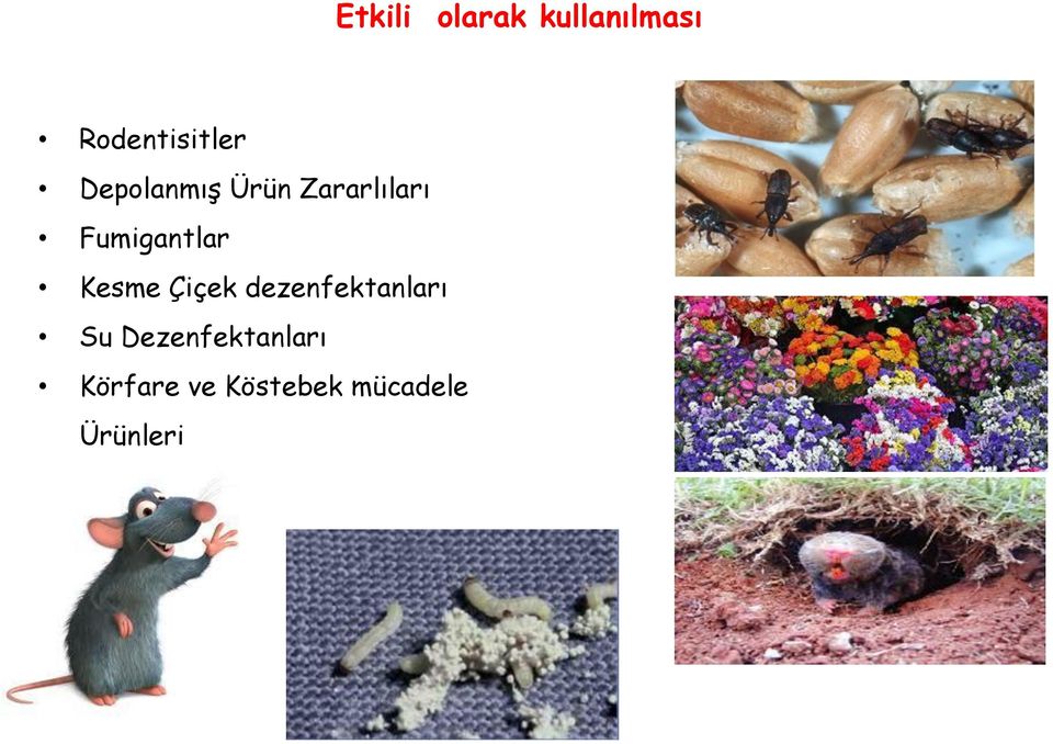 Kesme Çiçek dezenfektanları Su