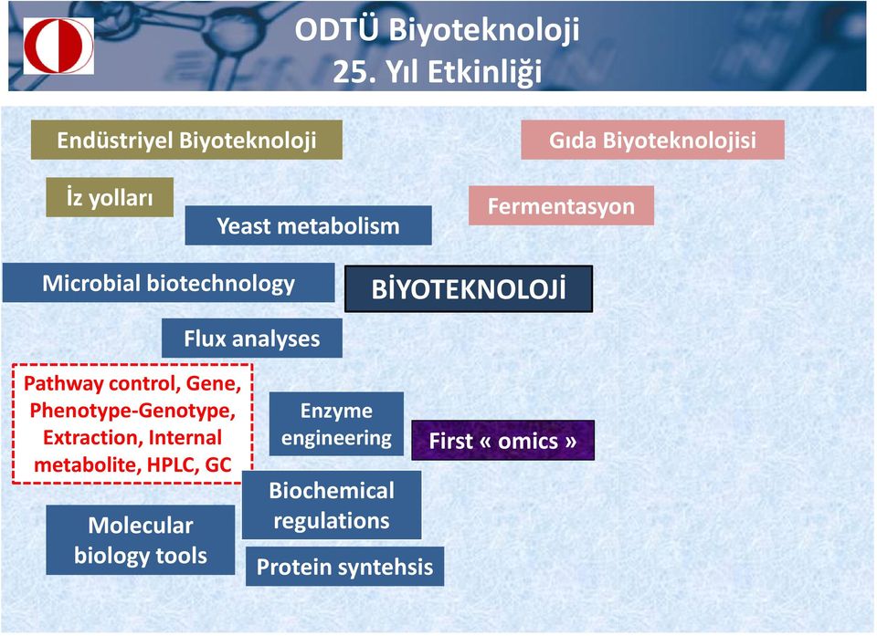control, Gene, Phenotype-Genotype, Extraction, Internal metabolite, HPLC, GC
