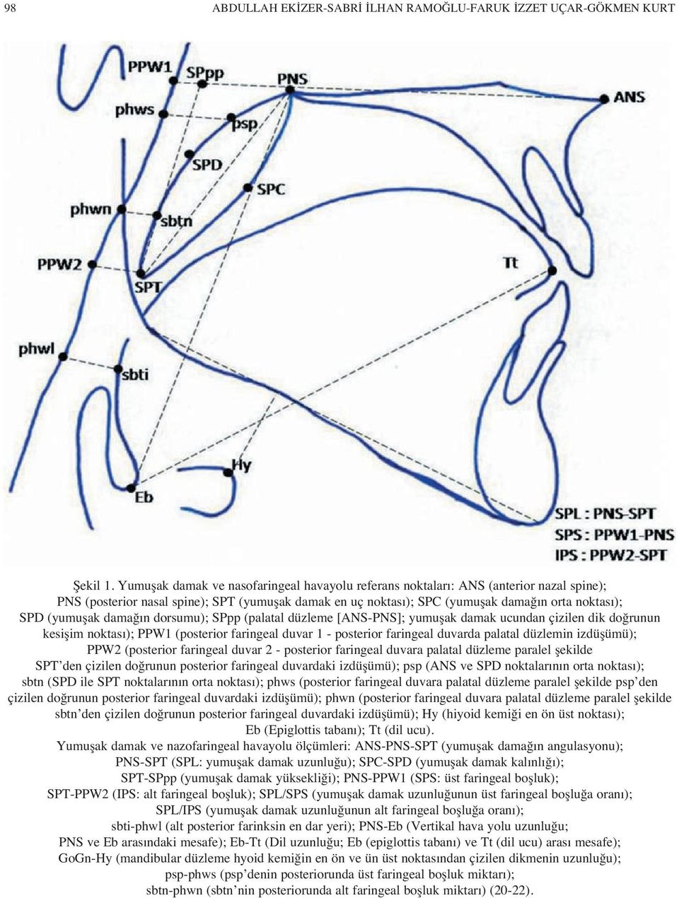 (yumuşak damağ n dorsumu); SPpp (palatal düzleme [ANS-PNS]; yumuşak damak ucundan çizilen dik doğrunun kesişim noktas ); PPW1 (posterior faringeal duvar 1 - posterior faringeal duvarda palatal