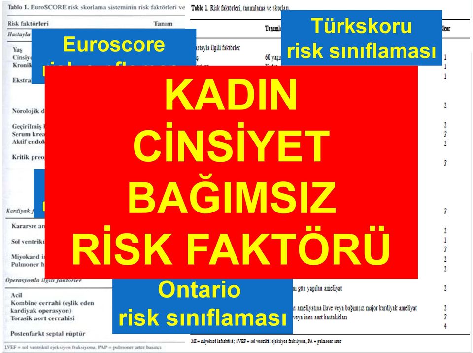 sınıflaması Parsonnet risk sınıflaması