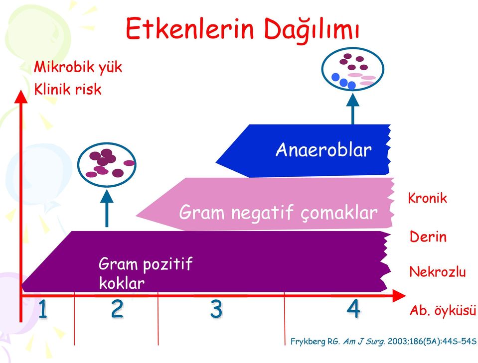 çomaklar 2 3 4 Kronik Derin Nekrozlu Ab.