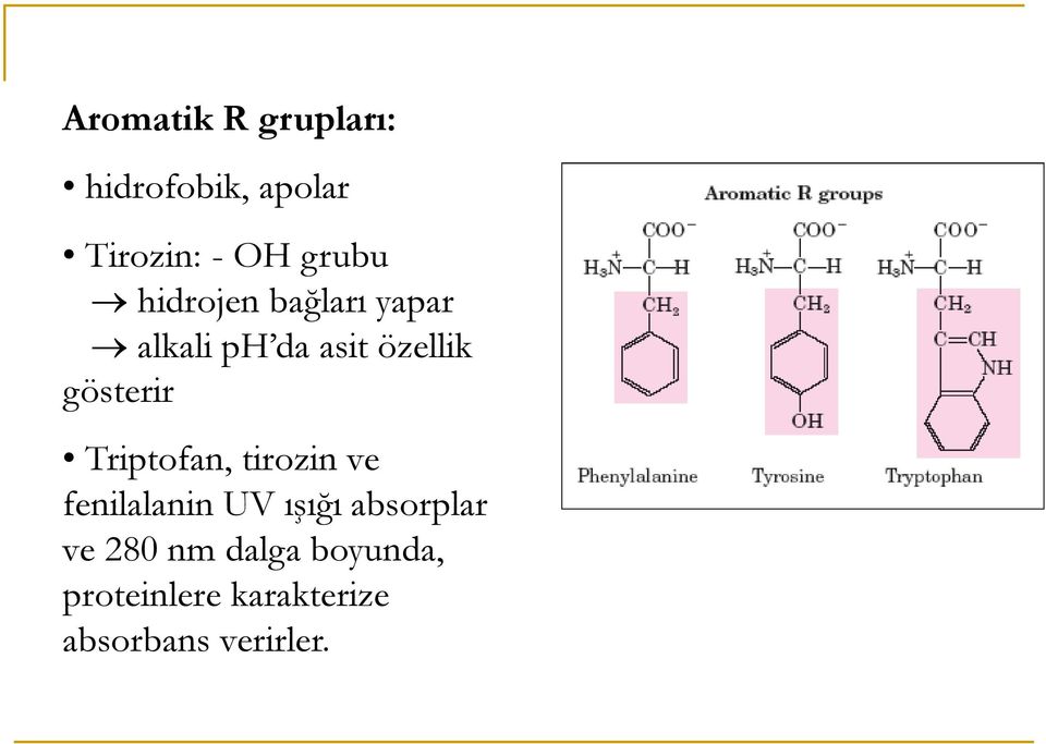 Triptofan, tirozin ve fenilalanin UV ışığı absorplar ve 280