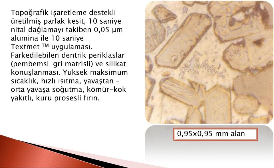 Farkedilebilen dentrik periklaslar (pembemsi-gri matrisli) ve silikat konuşlanması.