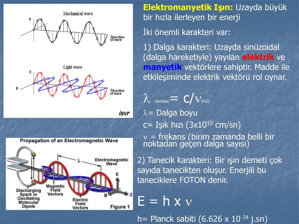 (lambda)= c/ (nü) = Dalga boyu c= Işık hızı (3x10 10 cm/sn) = frekans (birim zamanda belli bir noktadan geçen dalga sayısı) 2)