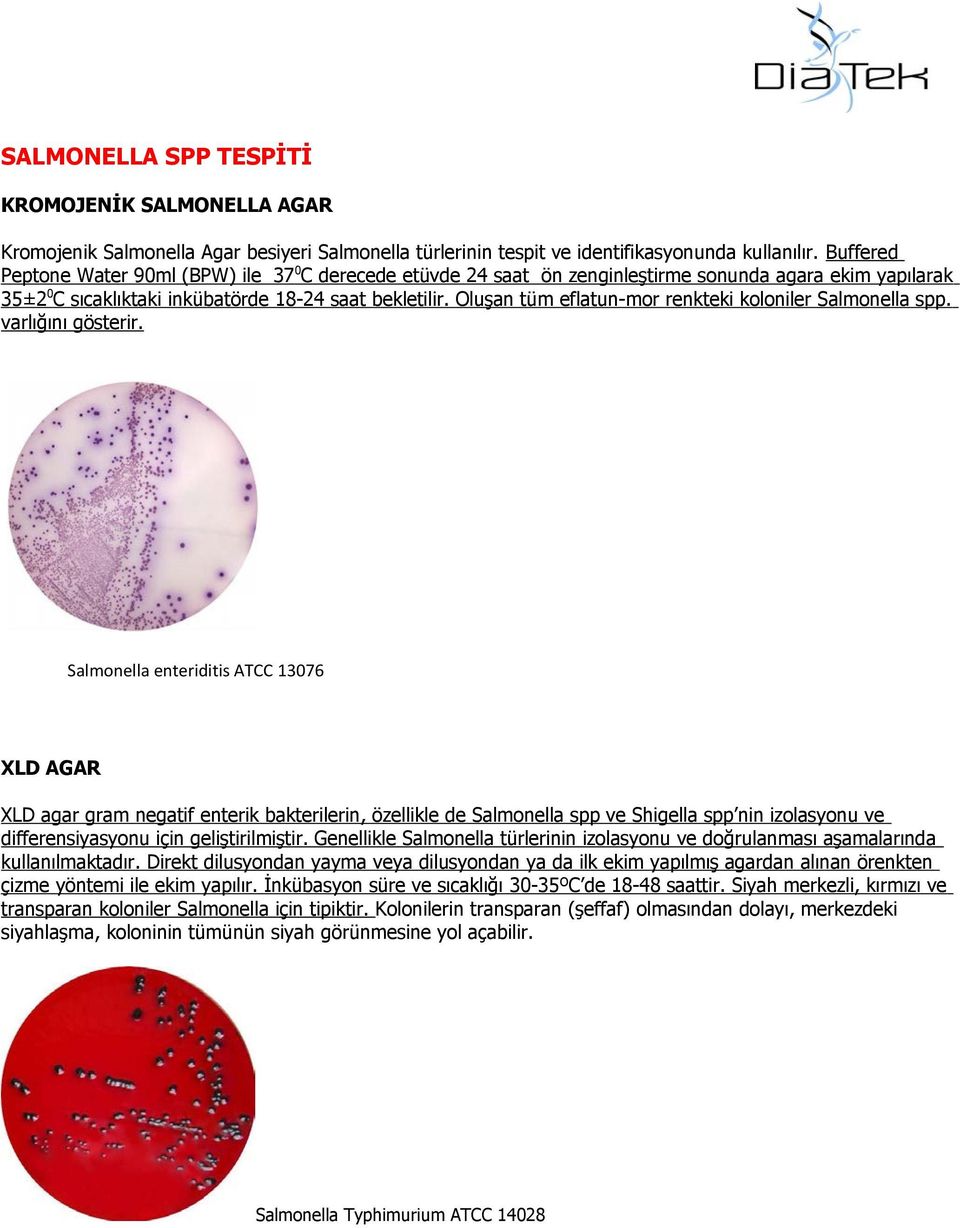 Oluşan tüm eflatun-mor renkteki koloniler Salmonella spp. varlığını gösterir.