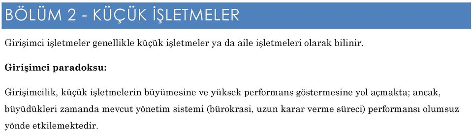 Girişimci paradoksu: Girişimcilik, küçük işletmelerin büyümesine ve yüksek performans