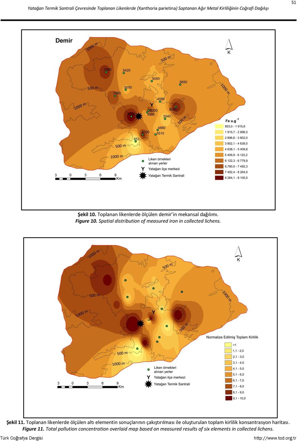 Spatial distribution of measured iron in collected lichens. Şekil 11.