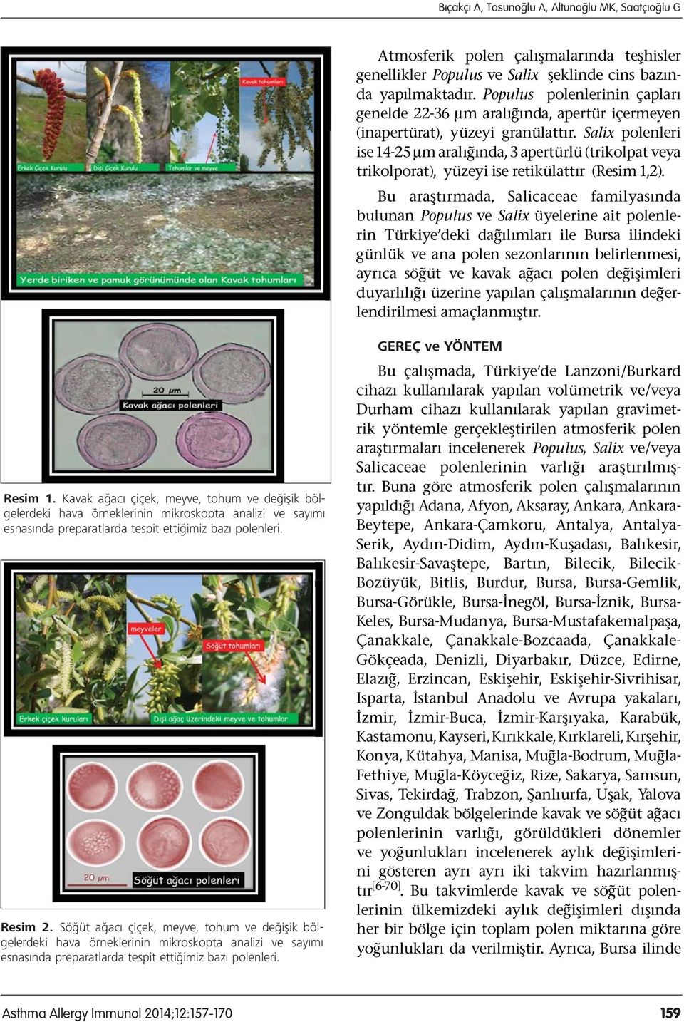 Salix polenleri ise 14-25 μm aralığında, 3 apertürlü (trikolpat veya trikolporat), yüzeyi ise retikülattır (Resim 1,2).