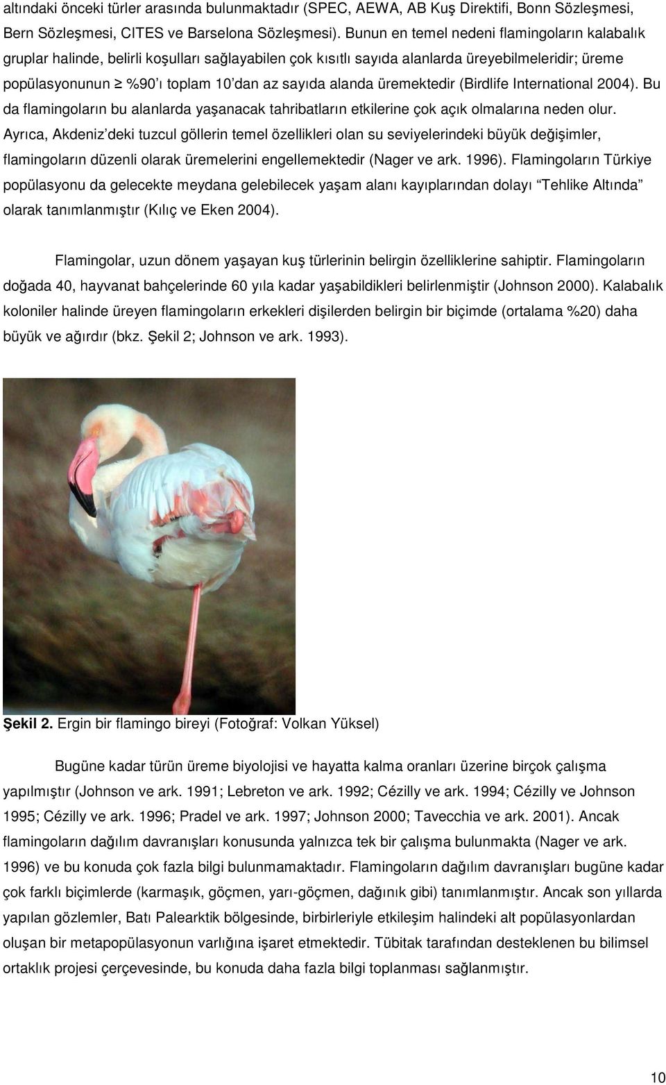 üremektedir (Birdlife International 2004). Bu da flamingoların bu alanlarda yaşanacak tahribatların etkilerine çok açık olmalarına neden olur.