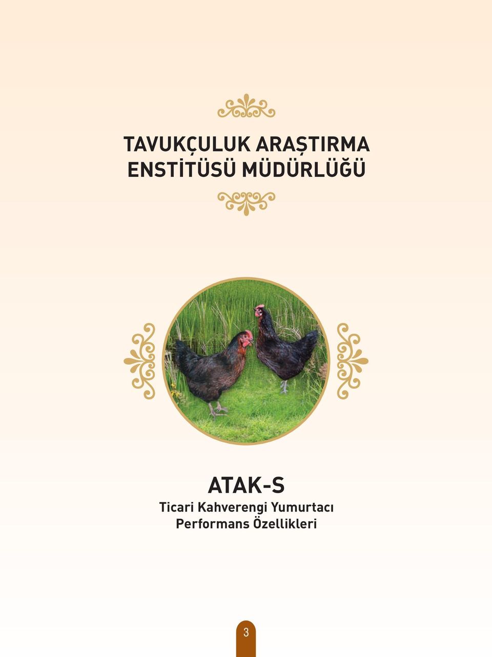 ATAK-S Ticari Kahverengi