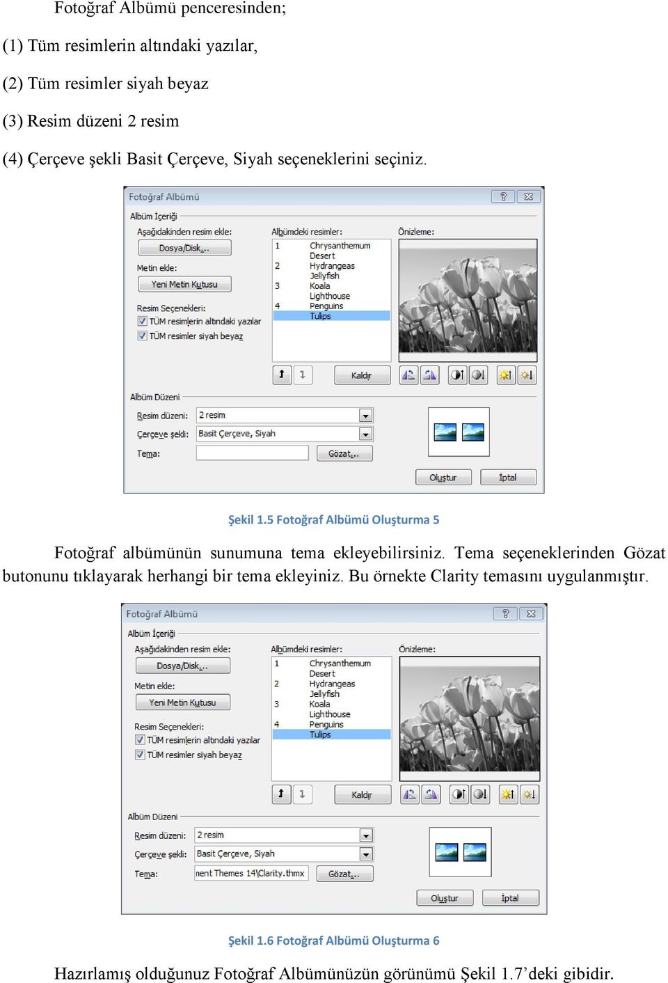 5 Fotoğraf Albümü Oluşturma 5 Fotoğraf albümünün sunumuna tema ekleyebilirsiniz.