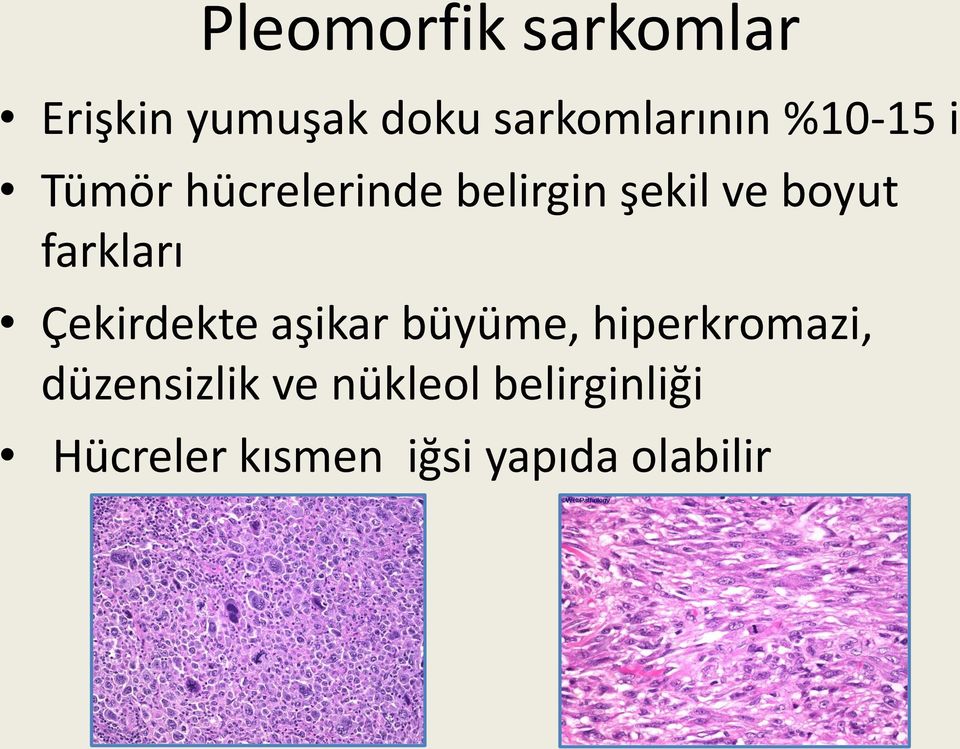 farkları Çekirdekte aşikar büyüme, hiperkromazi,