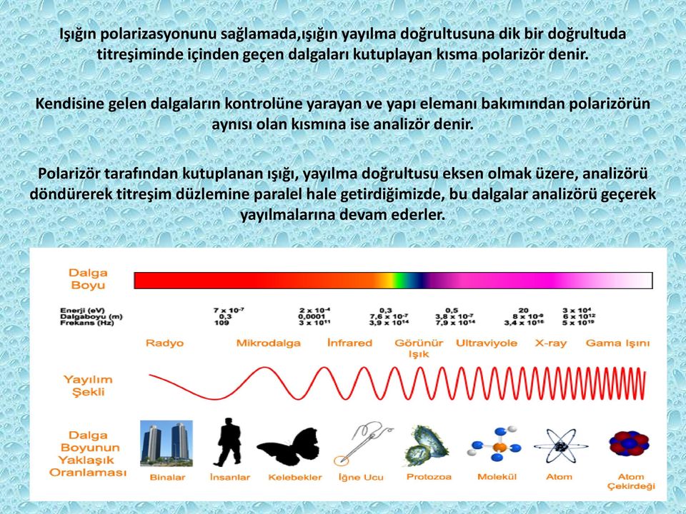 Kendisine gelen dalgaların kontrolüne yarayan ve yapı elemanı bakımından polarizörün aynısı olan kısmına ise analizör