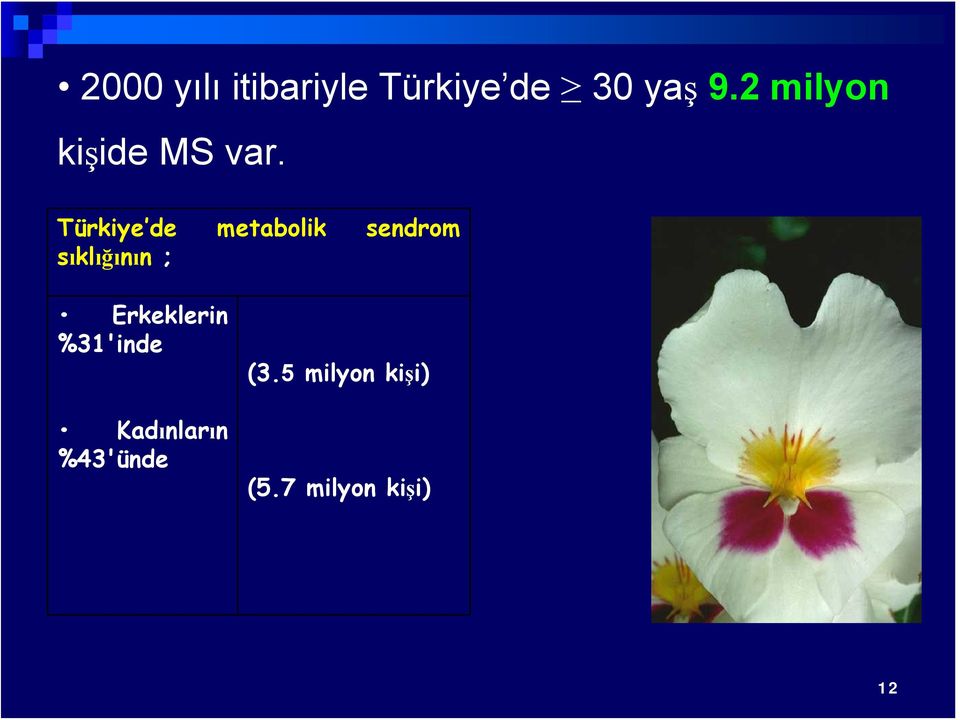 Türkiye de metabolik sendrom sıklığının ;