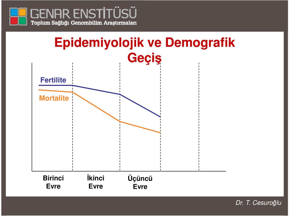 Fertilite Mortalite
