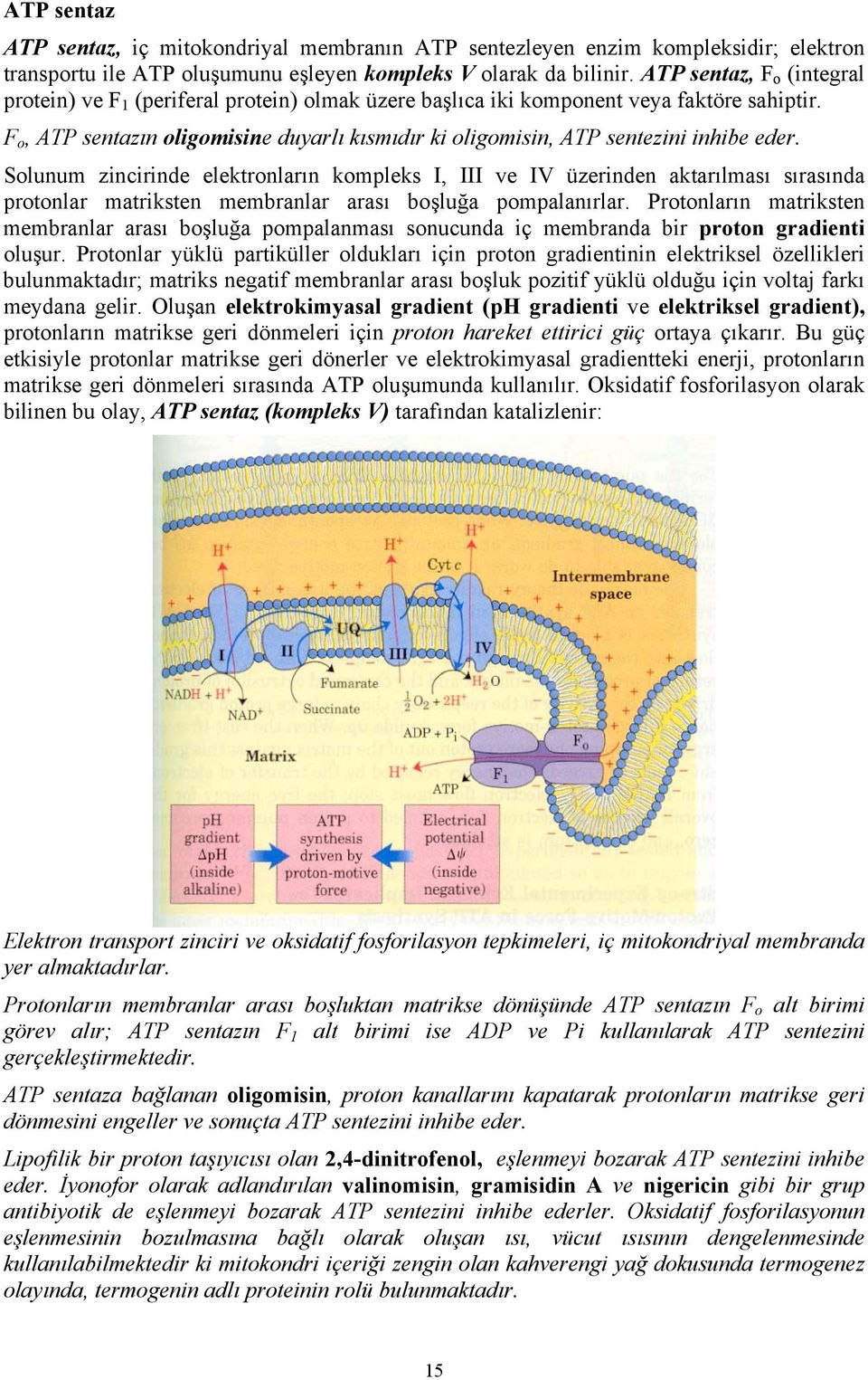 F o, ATP sentazın oligomisine duyarlı kısmıdır ki oligomisin, ATP sentezini inhibe eder.