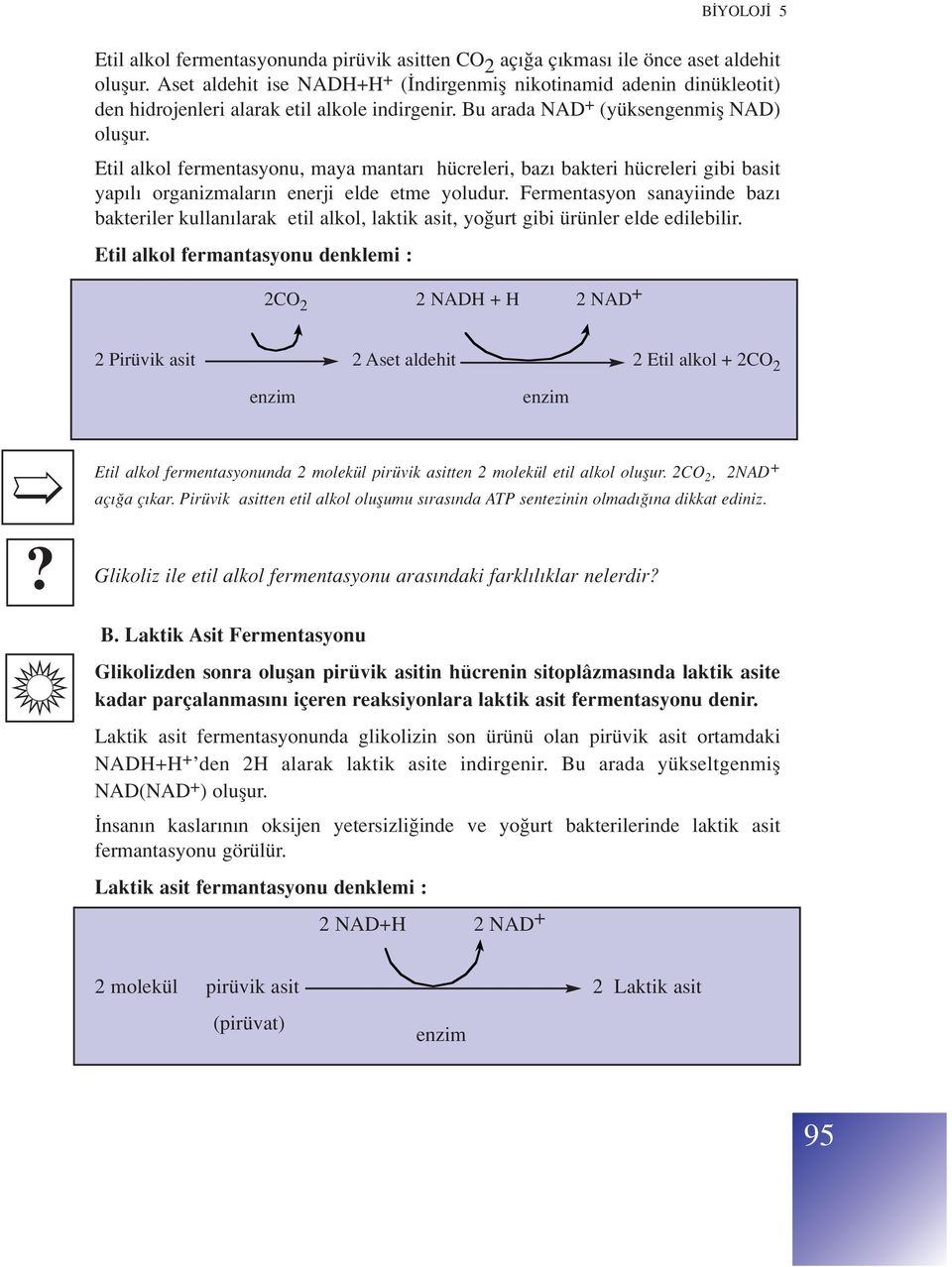 Etil alkol fermentasyonu, maya mantar hücreleri, baz bakteri hücreleri gibi basit yap l organizmalar n enerji elde etme yoludur.