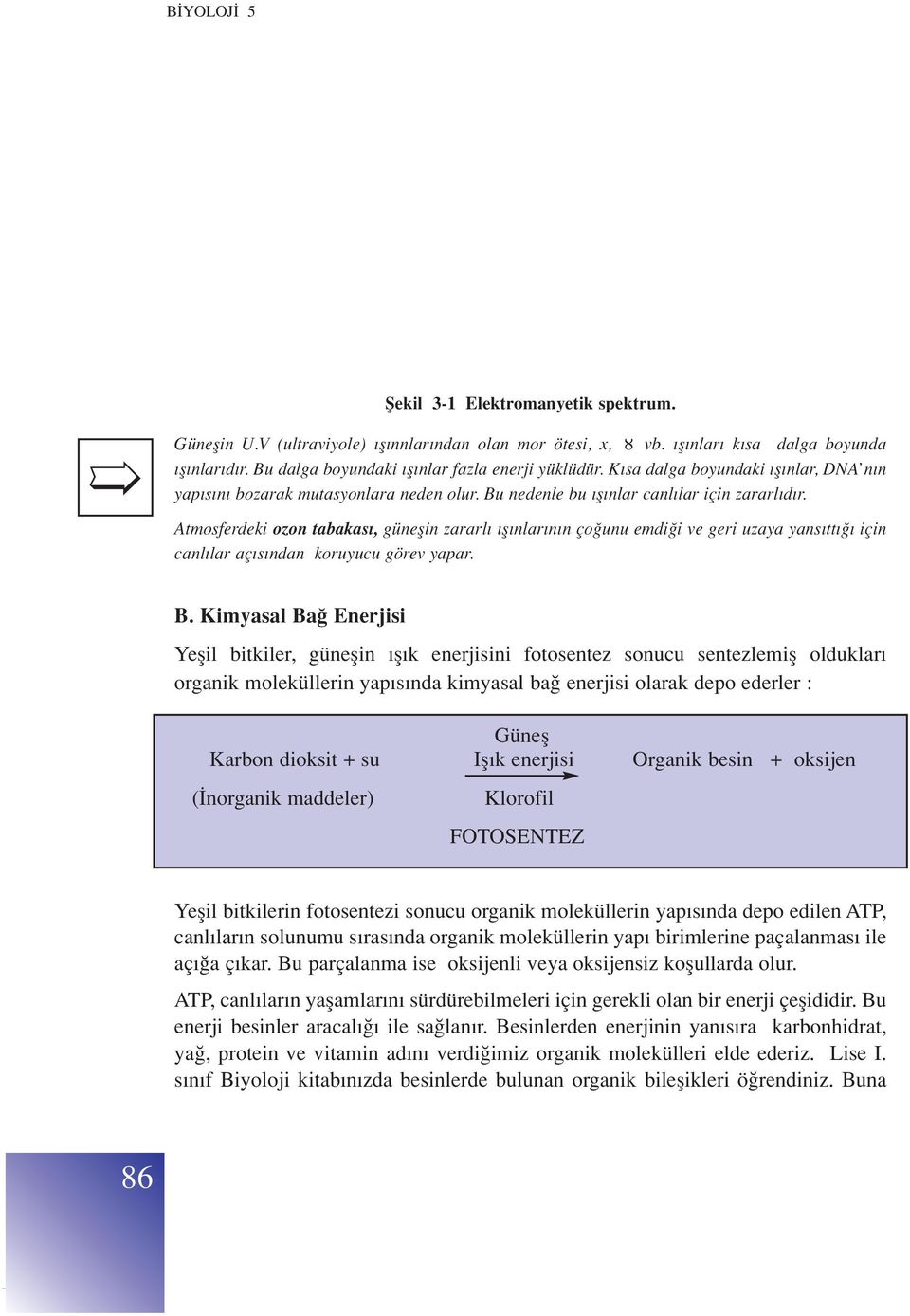 Atmosferdeki ozon tabakas, güneflin zararl fl nlar n n ço unu emdi i ve geri uzaya yans tt için canl lar aç s ndan koruyucu görev yapar. B.