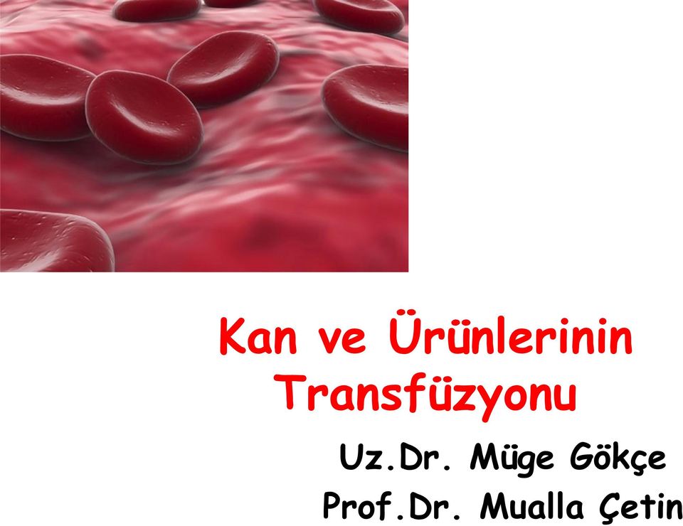 Transfüzyonu Uz.