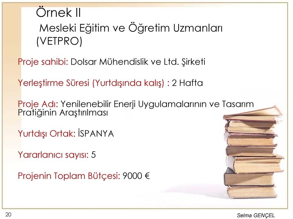 Şirketi Yerleştirme Süresi (Yurtdışında kalış) : 2 Hafta Proje Adı: